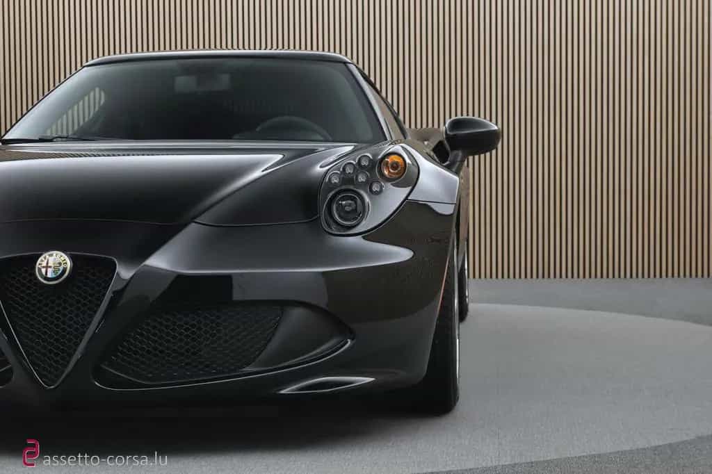 Alfa Romeo 4C *Carbon*10.379km*Classic Rims* Service history 06/2019-photo-31