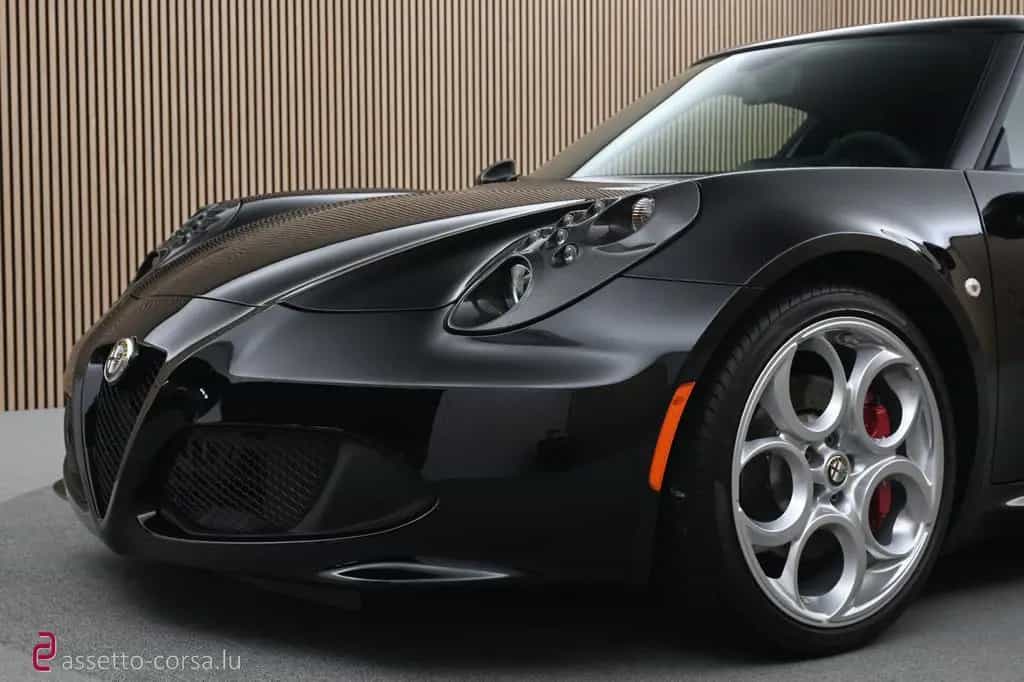 Alfa Romeo 4C *Carbon*10.379km*Classic Rims* Service history 06/2019-photo-32