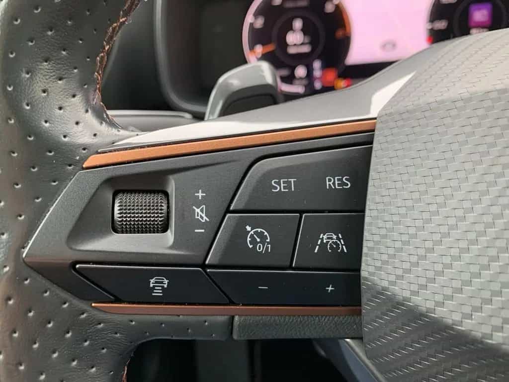 Cupra Formentor 2.0 TDI DSG 4Drive LED+NAVI+AHK+SHZ 08/2021-photo-33