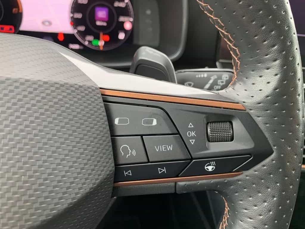 Cupra Formentor 2.0 TDI DSG 4Drive LED+NAVI+AHK+SHZ 08/2021-photo-34