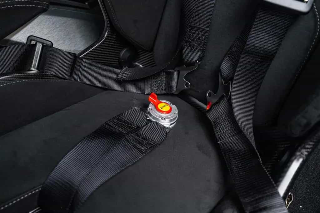 Alpine A110 R *Tulipe Noire / Brand new / Full PPF* 01/2025-photo-16