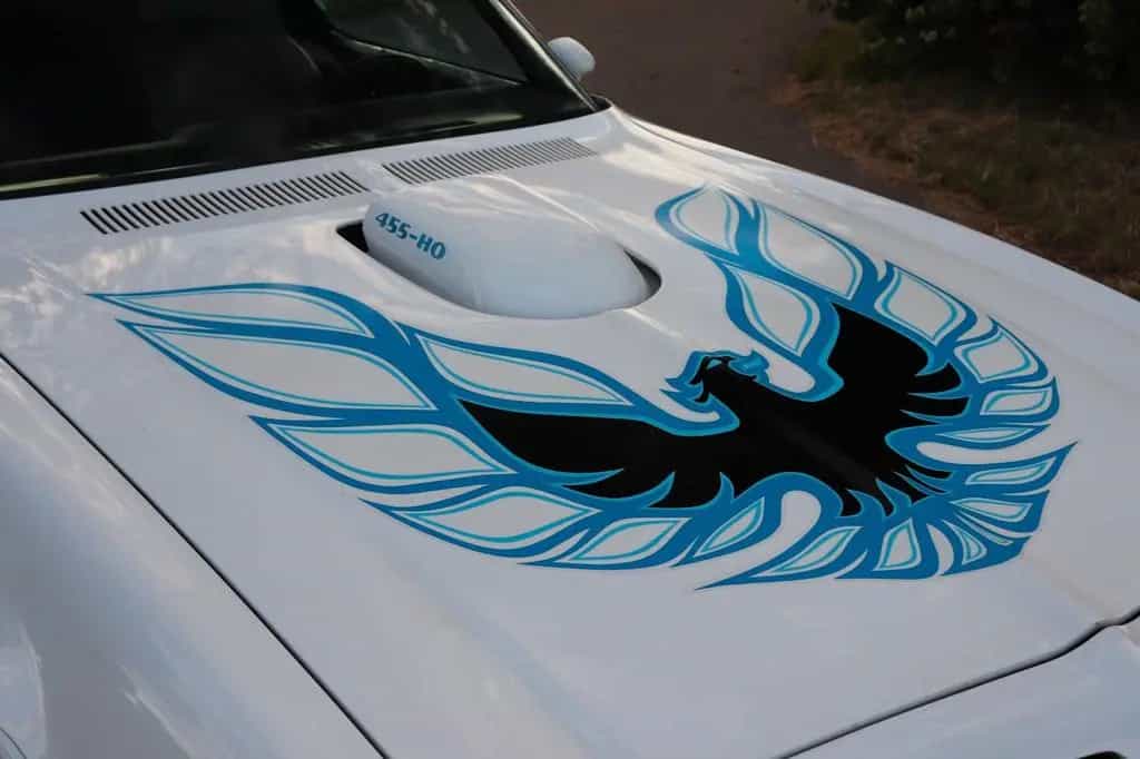 Pontiac Firebird Trans Am 455-HO Coupe 7,5 L|Fahrbereit| 01/1976-photo-17