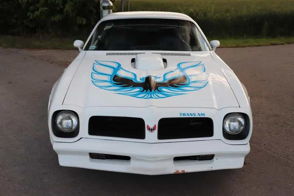 Pontiac Firebird Trans Am 455-HO Coupe 7,5 L|Fahrbereit| 01/1976-photo-19