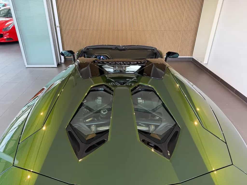 Lamborghini Aventador S Roadster CARBON/1.HAND/U-frei/DT.Fzg 05/2020-photo-22