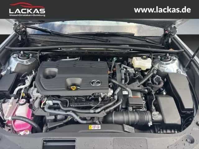 Lexus ES 300 H*BUSINESS*LEDER*EL.SIT ZE*SCHIEBEDACH* 02/2026-photo-19