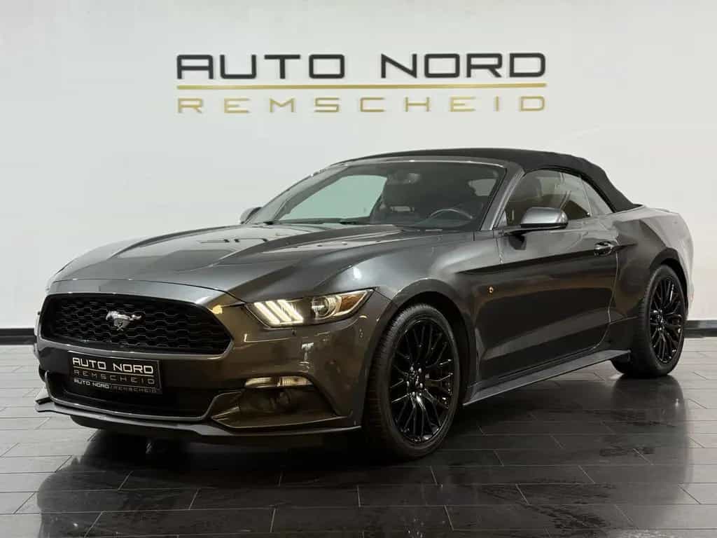 Ford Mustang Convertible Automatik*Leder*Kamera*19"* 12/2015-photo-7