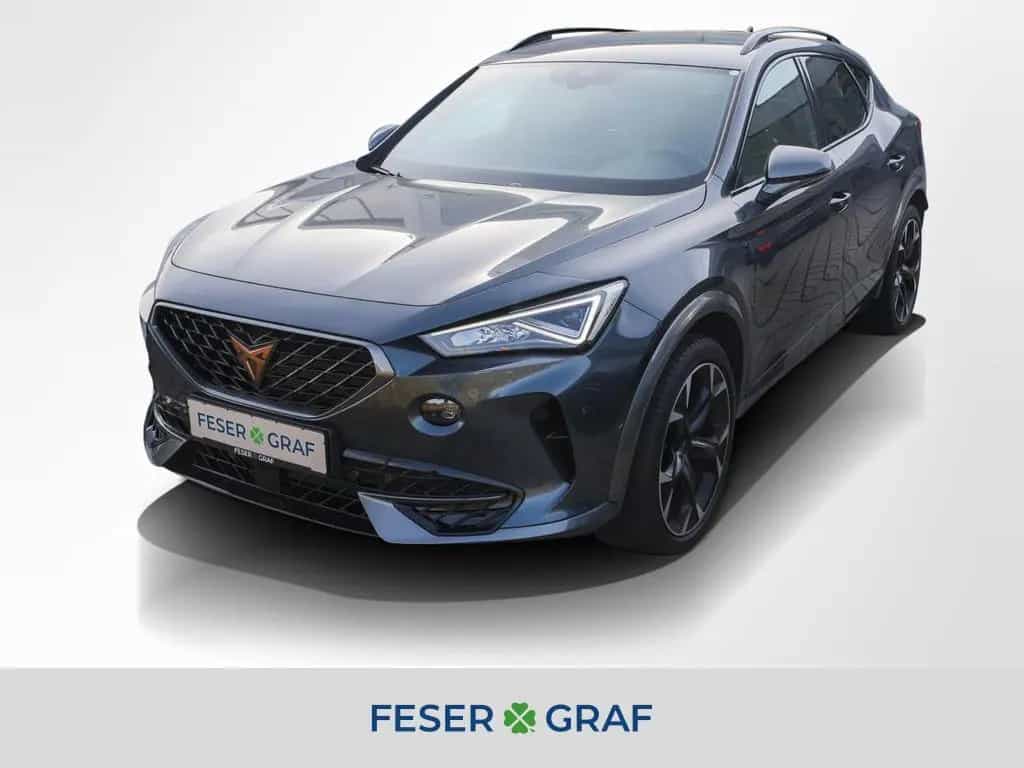 Cupra Formentor VZ 2.0 TSI 4Dr. ACC Navi RüKa Sitzh. 02/2024-photo-0