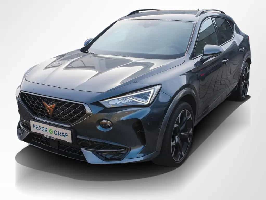 Cupra Formentor VZ 2.0 TSI 4Dr. ACC Navi RüKa Sitzh. 02/2024-photo-10