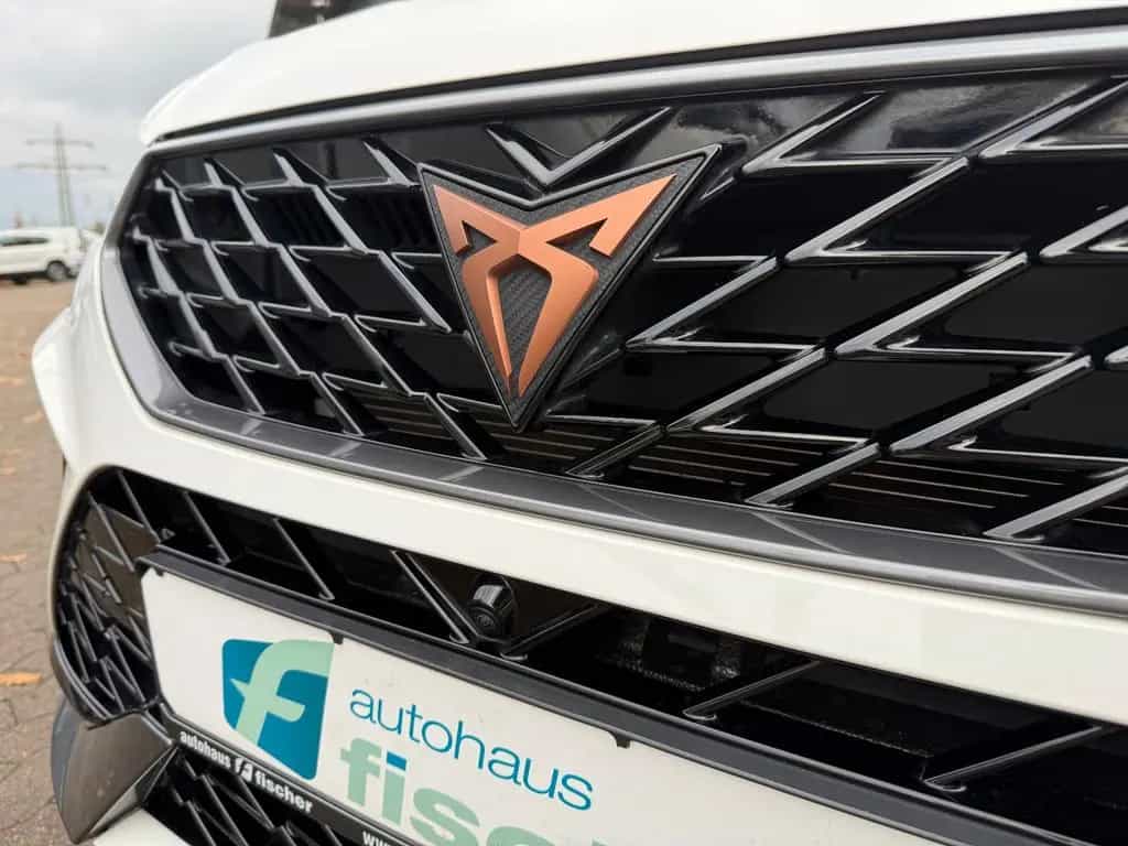 Cupra Ateca 4Drive 360° Beats Kessy SHZ 11/2022-photo-4