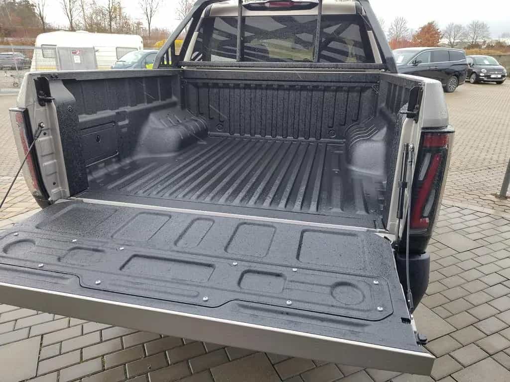 DFSK Other DFM Rich9 Pick Up null-photo-11