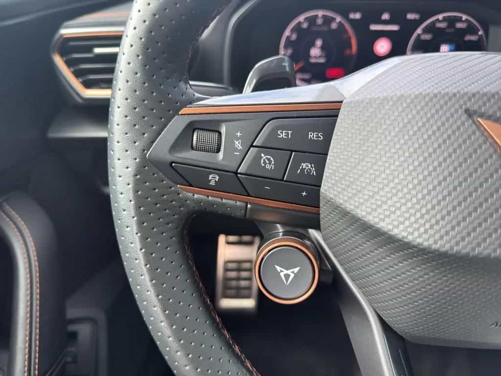 Cupra Formentor 2.0 TSI DSG 4Drive VZ MATRIX-LED NAVI 01/2024-photo-17