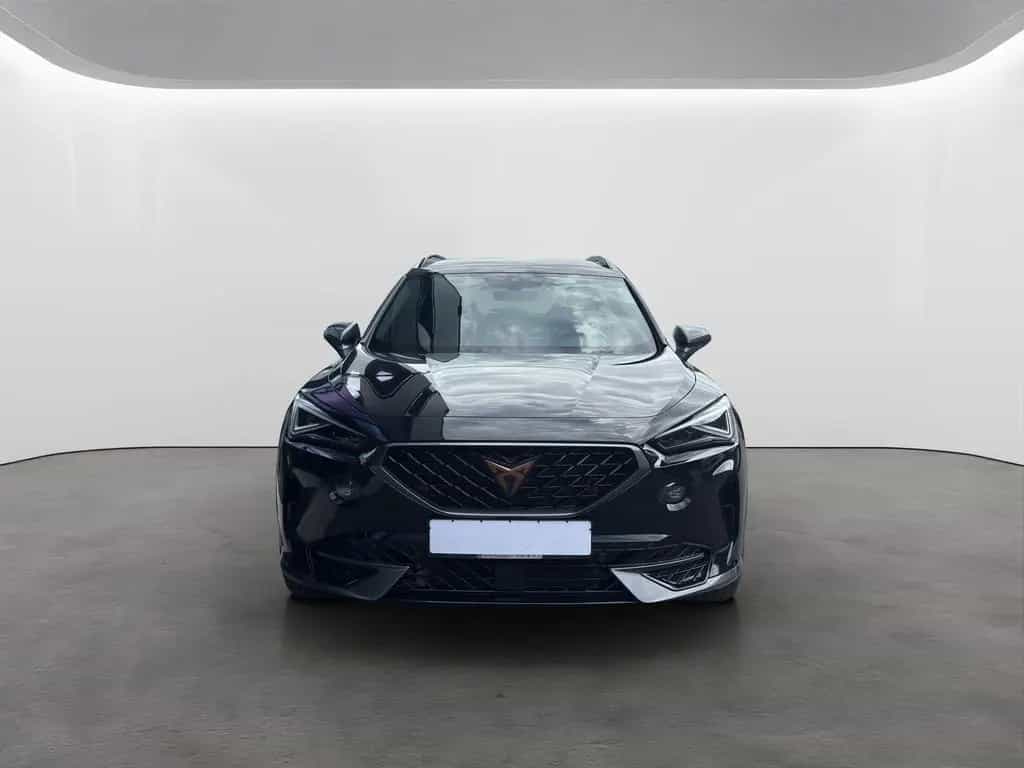 Cupra Formentor 2.0 TSI DSG 4Drive VZ MATRIX-LED NAVI 01/2024-photo-4