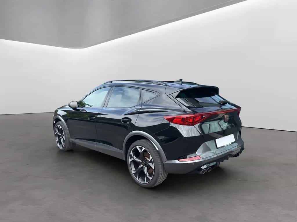 Cupra Formentor 2.0 TSI DSG 4Drive VZ MATRIX-LED NAVI 01/2024-photo-6