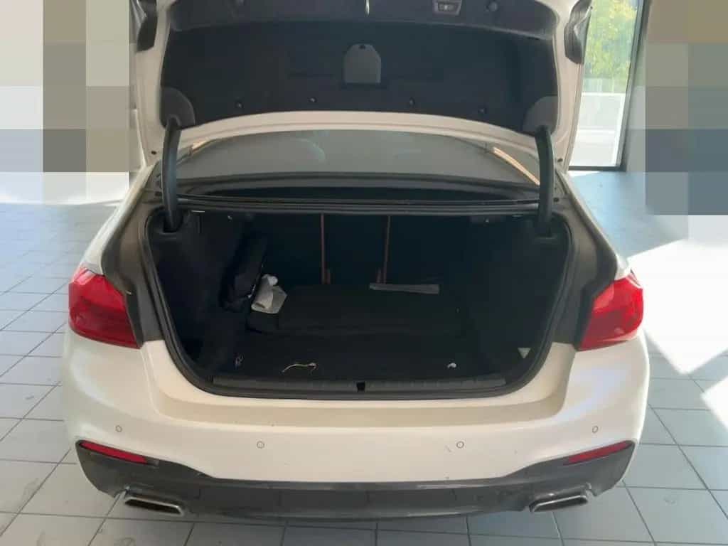 BMW 5 Series 520d M Sport*Individual*Matt-Lack*360°Kamera* 06/2018-photo-13