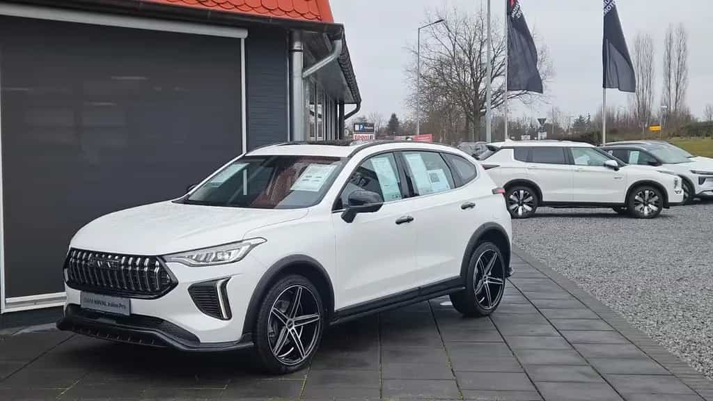 GWM HAVAL Jolion Pro Premium LED Leder Lenkradhzg. null-photo-0