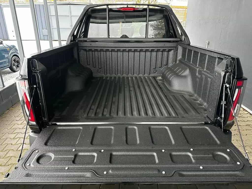 DFSK Other Andere DFM RICH 9 2,3 D Pick-up | Panorama | LED null-photo-20