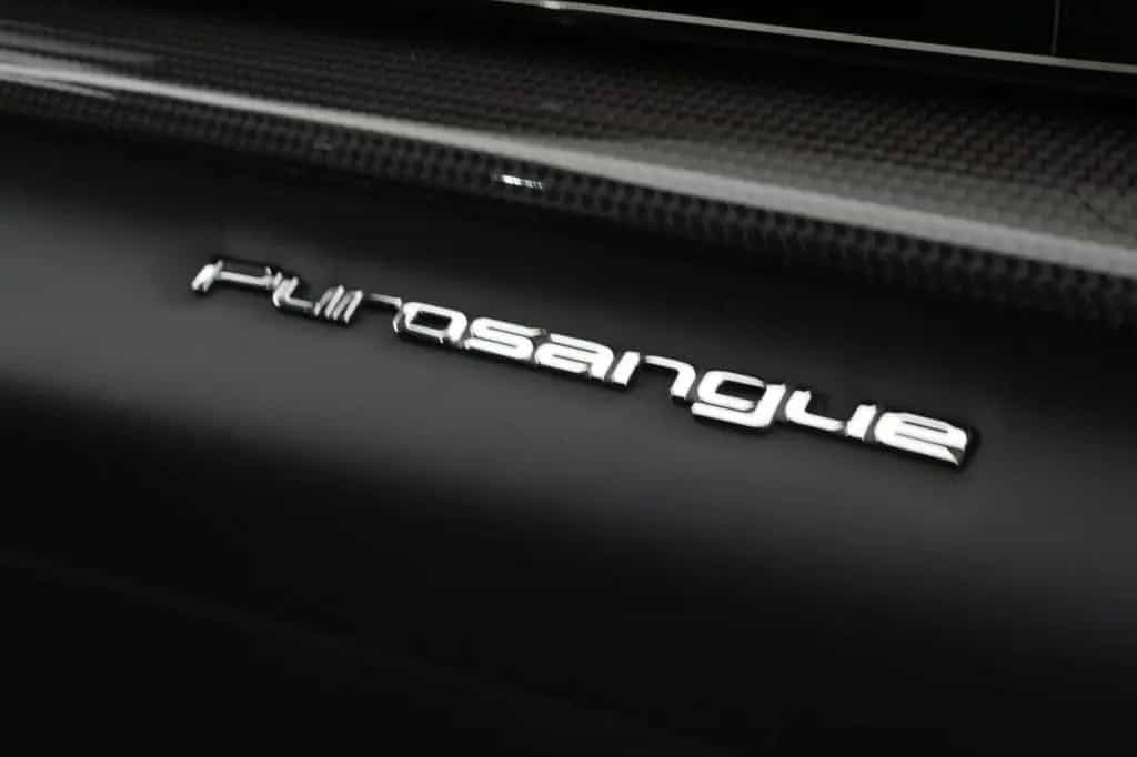 Ferrari Purosangue Full Carbon 03/2024-photo-24