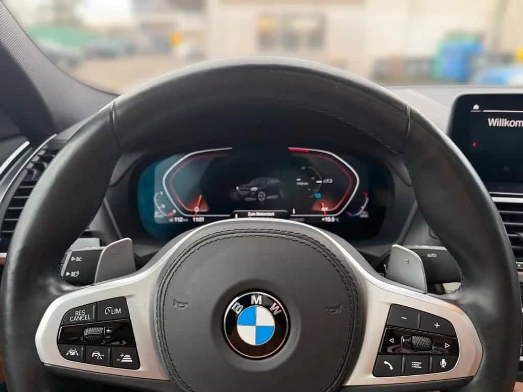 BMW X4 xDrive 30 d M Sport *Headup *Pano *360grad 01/2022-photo-7