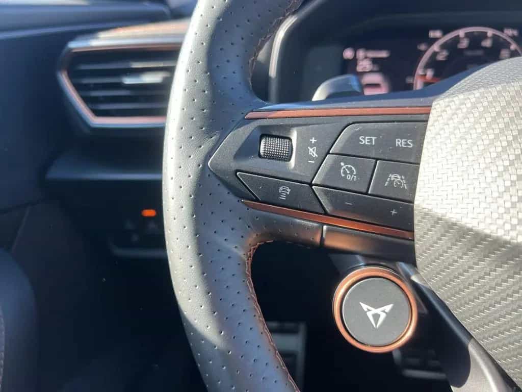 Cupra Formentor 2,0 4Motion VZ 2.0 TSI DSG 4Drive 3,99 09/2023-photo-10