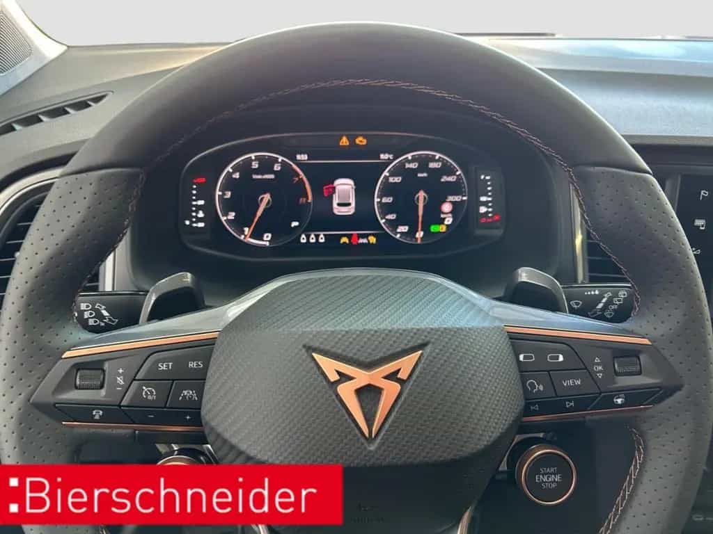 Cupra Ateca 2.0 TSI DSG 4Drive Tribe Edition null-photo-15