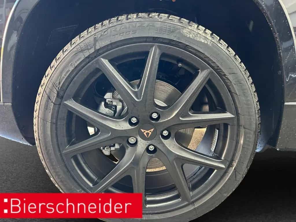 Cupra Ateca 2.0 TSI DSG 4Drive Tribe Edition null-photo-9