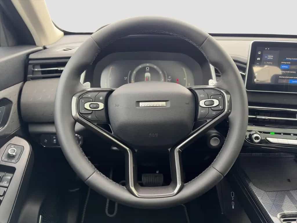 GWM Haval Jolion Pro PREMIUM 1.5 Turbo *PANORAMA*LED null-photo-10