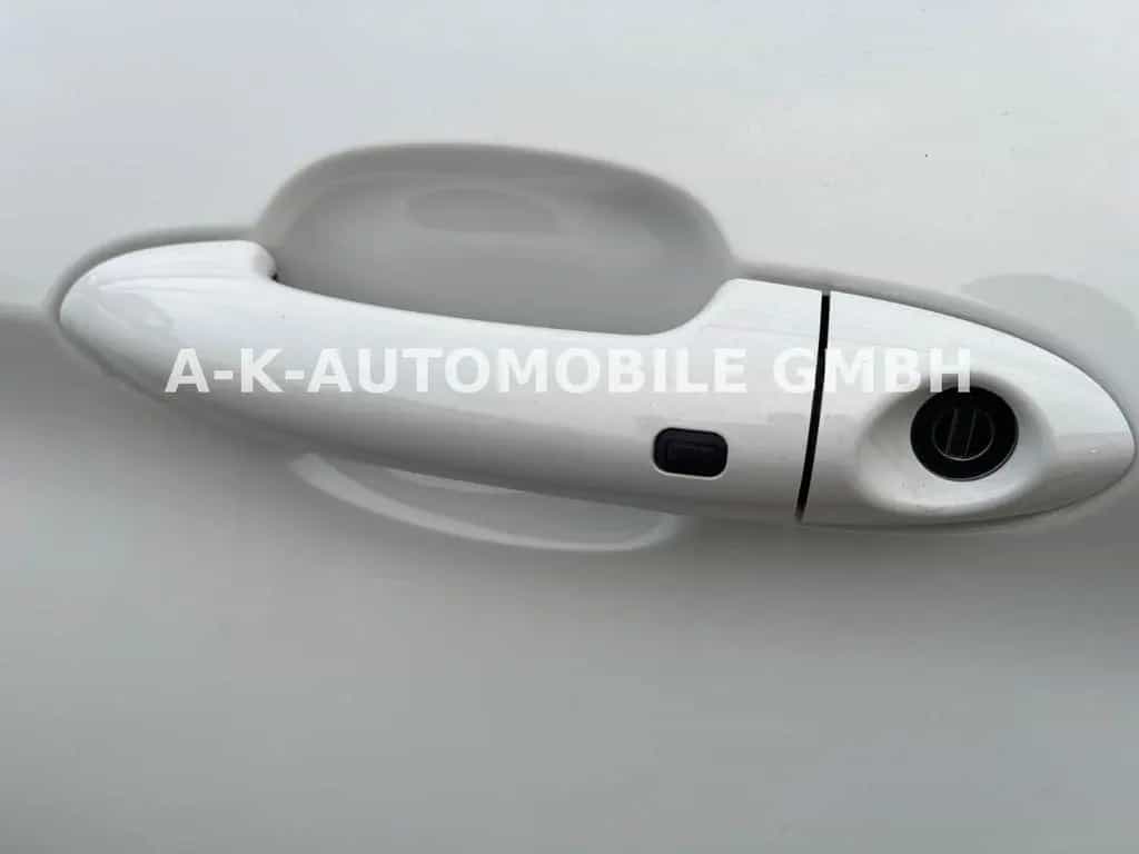 DFSK Fengon 500 KAMERA LED 08/2024-photo-29