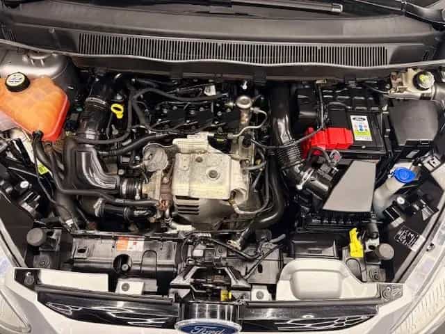 Ford B-Max B-MAX 1.0 EcoBoost Titanium+USB+PDC+TC+SHZ 02/2016-photo-23