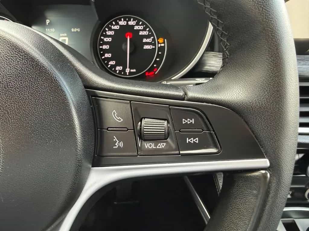 Alfa Romeo Stelvio Business  =AHK-Navi-SHZ-Abstands.Tempo 04/2019-photo-17