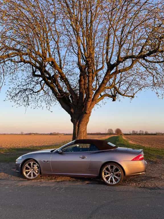 Jaguar XK 5.0 V8 Portfolio Cabriolet 07/2014-photo-2