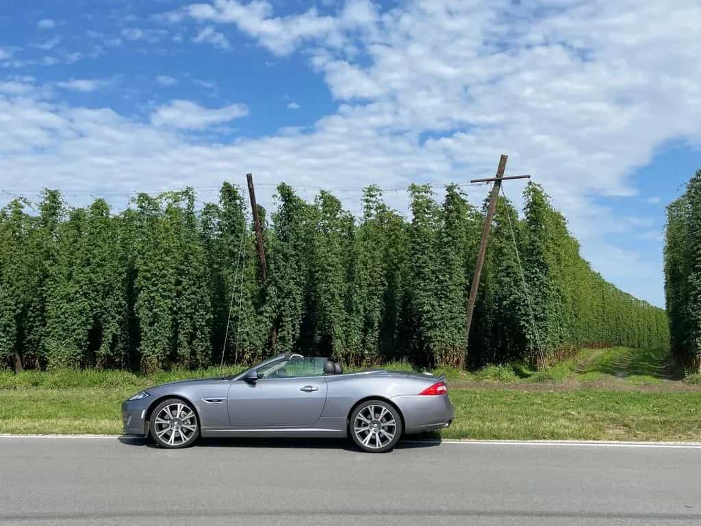 Jaguar XK 5.0 V8 Portfolio Cabriolet 07/2014-photo-3