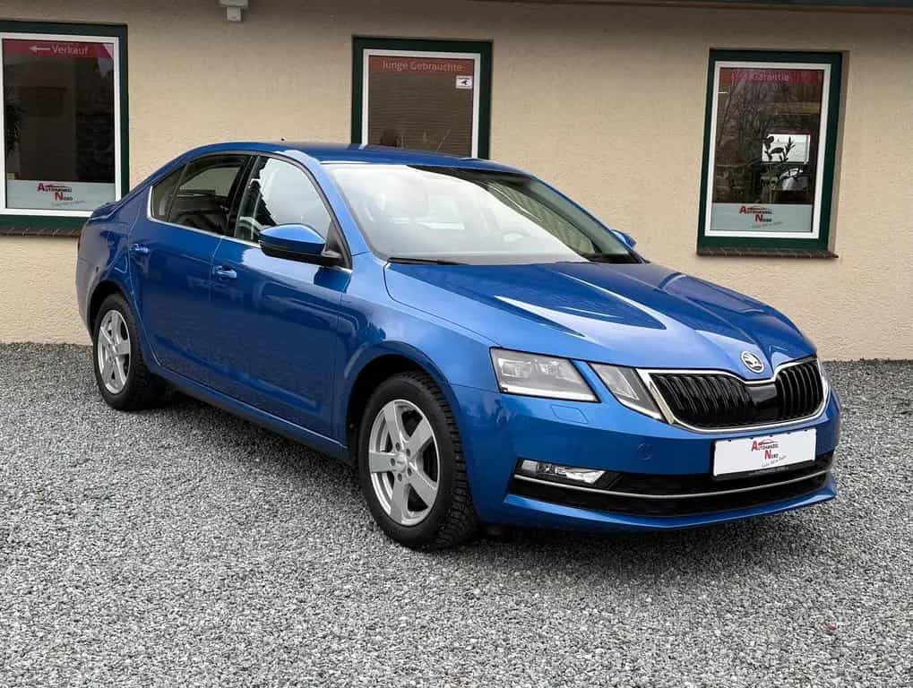 Skoda Octavia Automatik Style PDC Carplay Android Navi 06/2018-photo-12