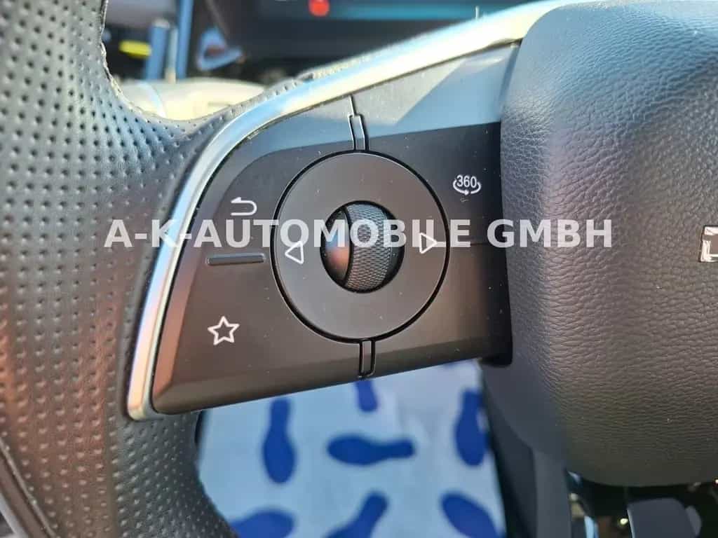 BAIC Beijing X55 360°-KAMERA  ACC 06/2024-photo-18