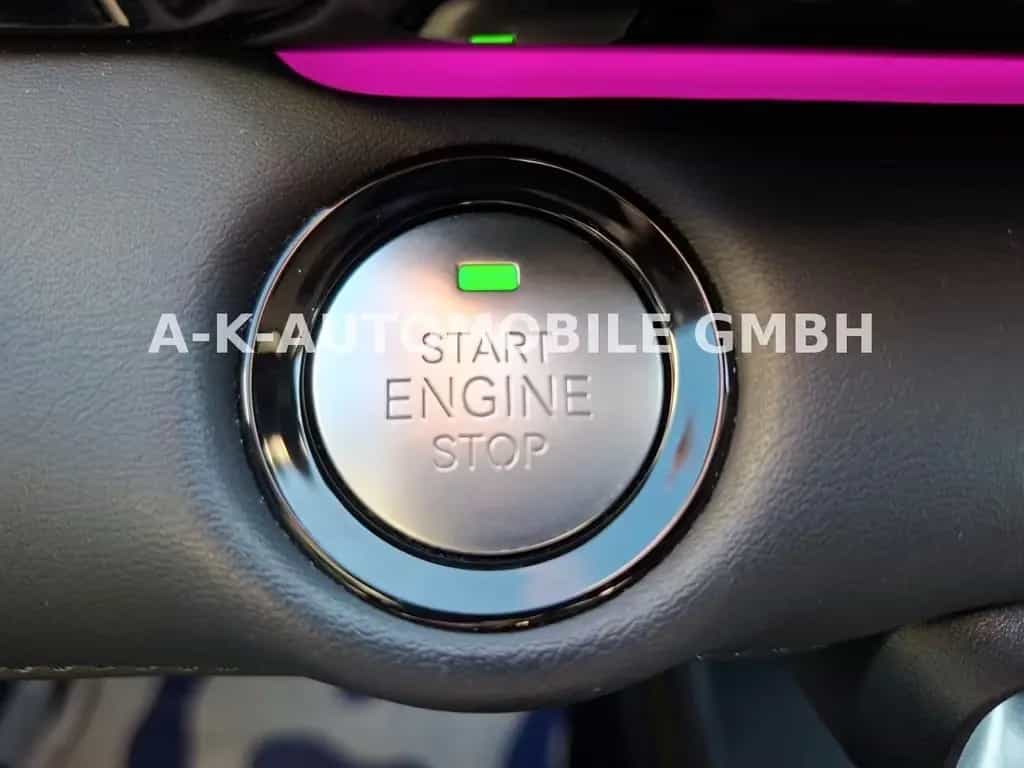 BAIC Beijing X55 360°-KAMERA  ACC 06/2024-photo-23