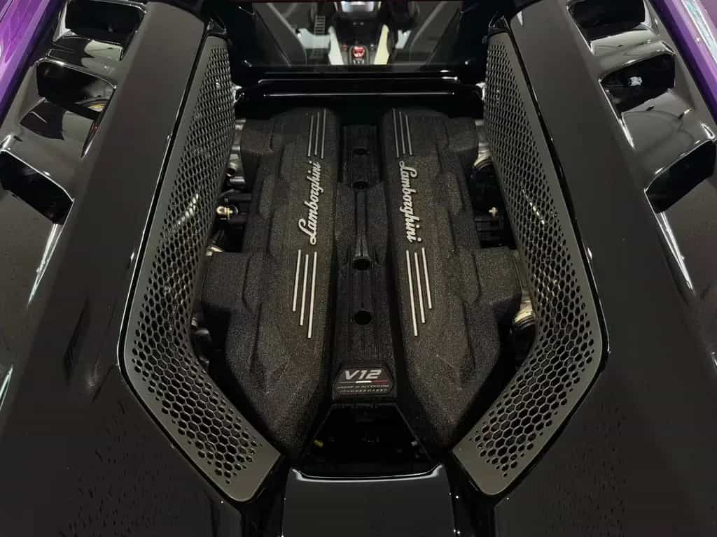 Lamborghini Revuelto "Carbon" 08/2025-photo-17