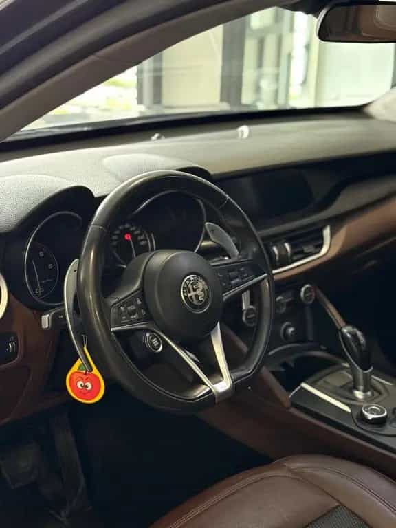 Alfa Romeo Stelvio 2.2 Turbodiesel 180 CV AT8 RW 09/2017-photo-7