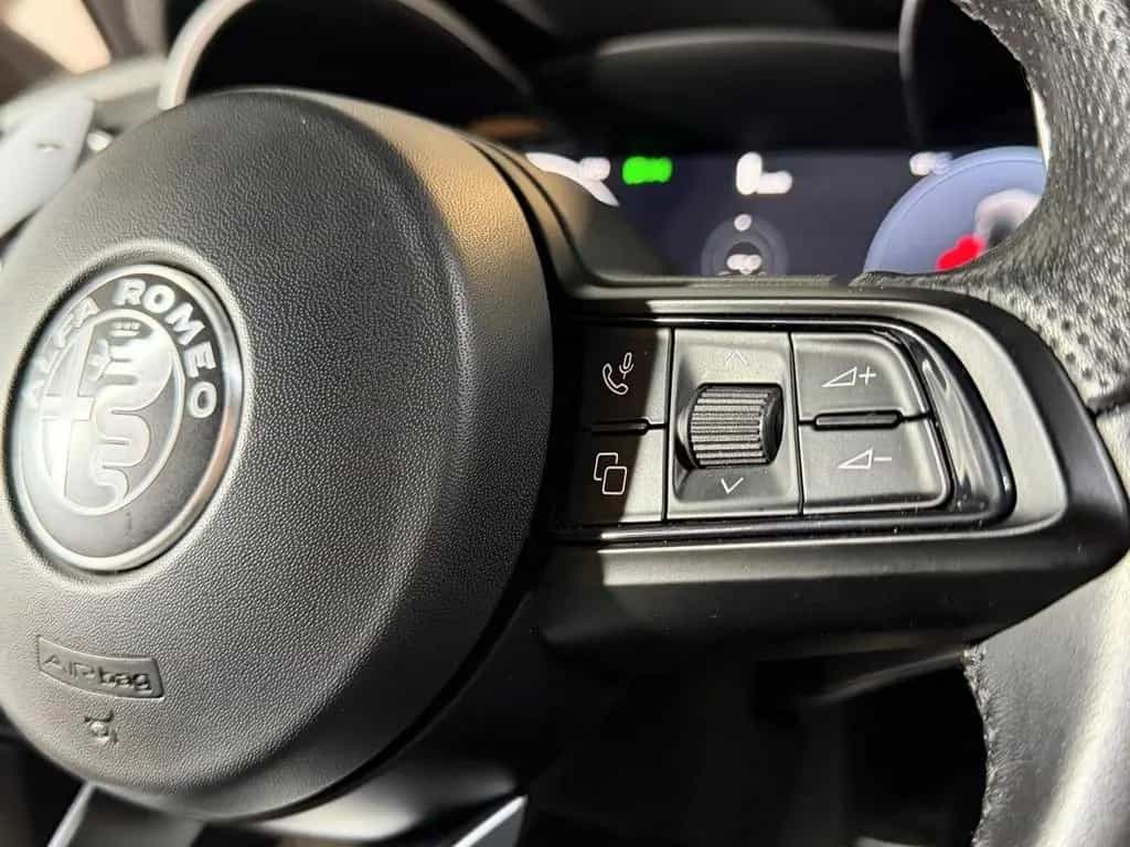 Other Other Alfa Romeo Stelvio 2.2 Turbodiesel Garanzia 05/2023-photo-11
