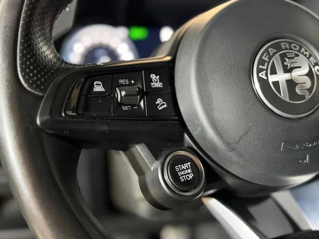 Other Other Alfa Romeo Stelvio 2.2 Turbodiesel Garanzia 05/2023-photo-13