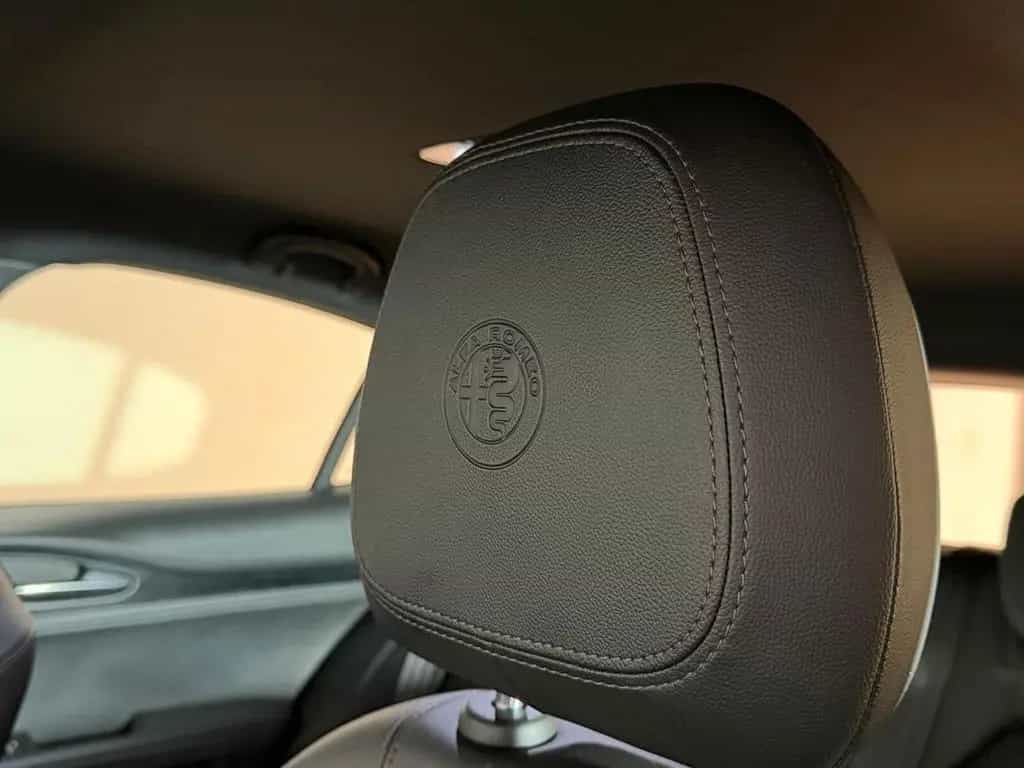 Other Other Alfa Romeo Stelvio 2.2 Turbodiesel Garanzia 05/2023-photo-14