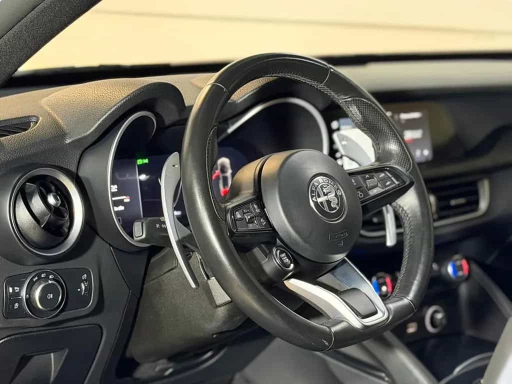 Other Other Alfa Romeo Stelvio 2.2 Turbodiesel Garanzia 05/2023-photo-9