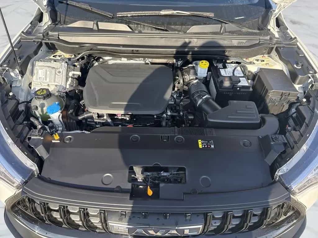 GWM HAVAL Jolion Pro LUXURY 1.5 Turbo 7-Gang DCT El. null-photo-9