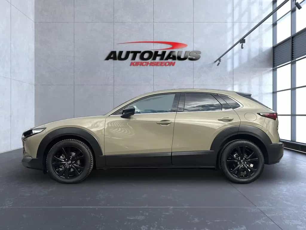 Mazda CX-30 2.5 e-SKYACTIV-G Nagisa 2WD Automatik Navi 04/2025-photo-6