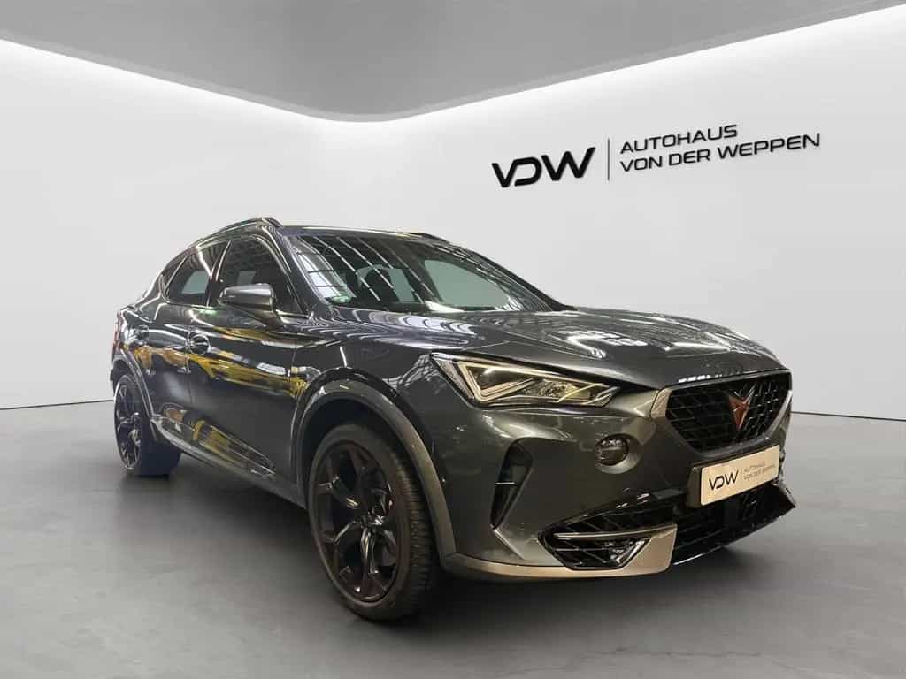 Cupra Formentor VZ 4Drive 2.0 TSI AHK Klima Navi 07/2024-photo-12