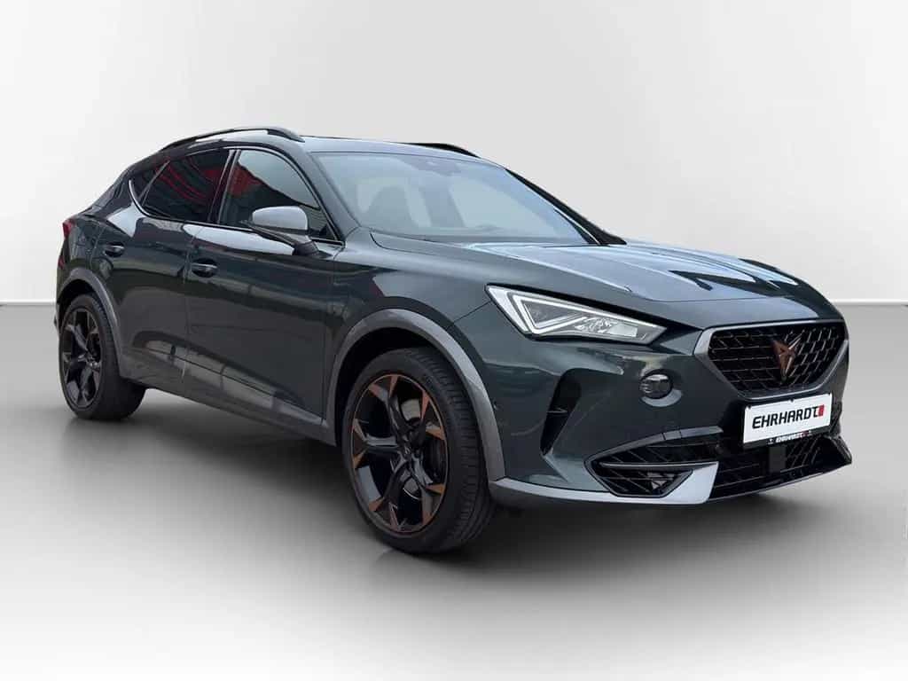 Cupra Formentor 2.0 TSI DSG 4Drive VZ DCC PANO*AHK*LED 01/2022-photo-2
