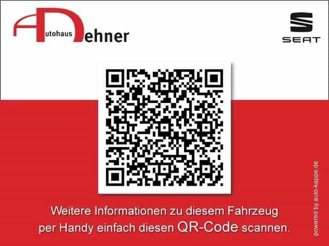 Cupra Formentor VZ5 2.5 TSI DSG 4Drive 8fach+STDHZ 12/2022-photo-22