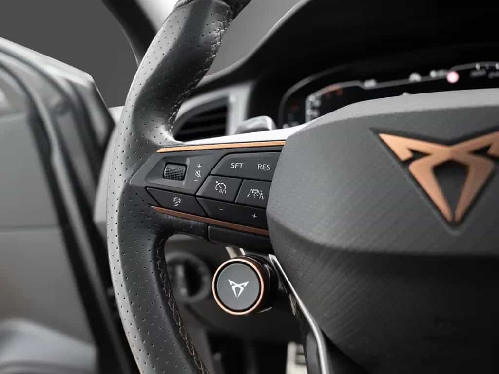 Cupra Ateca AHK BusinessPaket PANO DCC 360° BeatsAudio 11/2022-photo-14