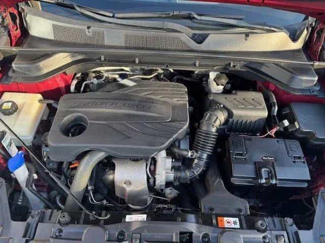 Ssangyong Korando 10/2020-photo-11