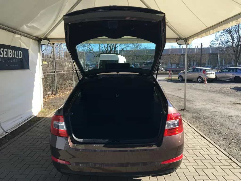 Skoda Octavia 1.2 TSI Lim-Fließheck/Autom/Navi/AHK/DAB 05/2014-photo-7
