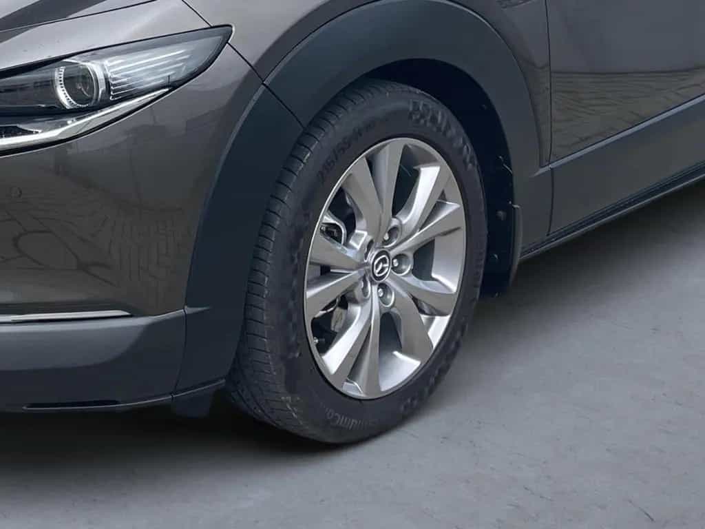 Mazda CX-30 2.0L Skyactiv-G M Hybrid Selection 2WD AHK 11/2020-photo-5