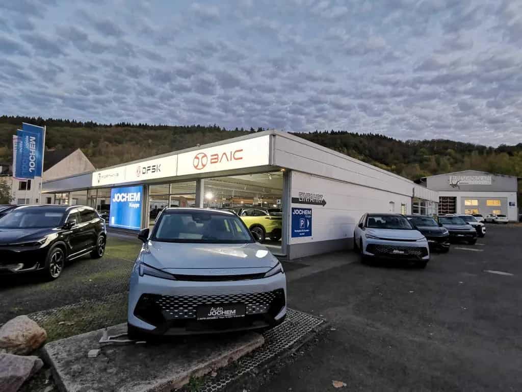 BAIC BJ60 1x Mattgrün Inkl. Hohlraum- u. Unterbodenschutz null-photo-12